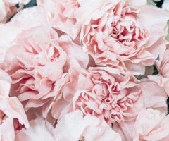 Test Post #2 – Longer Title Than Most Other Posts with a Long Title