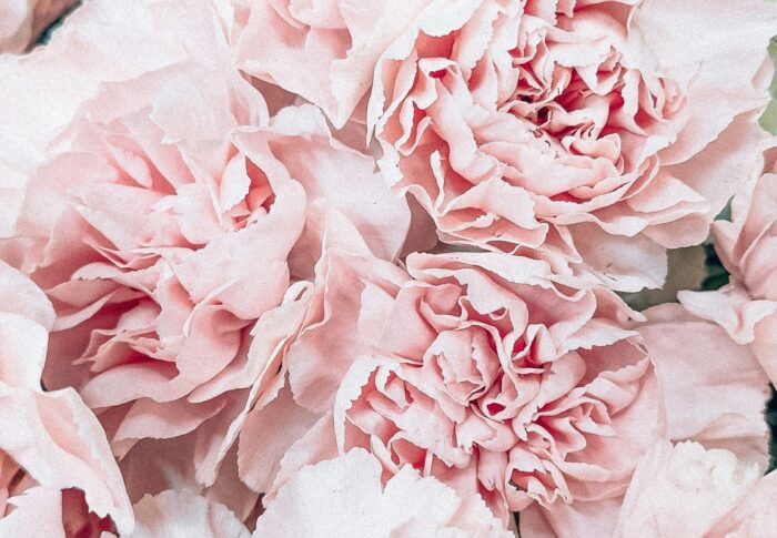 Test Post #2 – Longer Title Than Most Other Posts with a Long Title